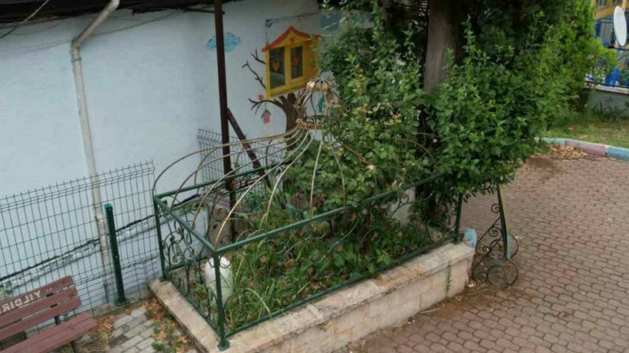 Osmanlı Âlimi Molla Arap Hazretleri'nin Kabri Yalnızlığa Terk Edildi 2