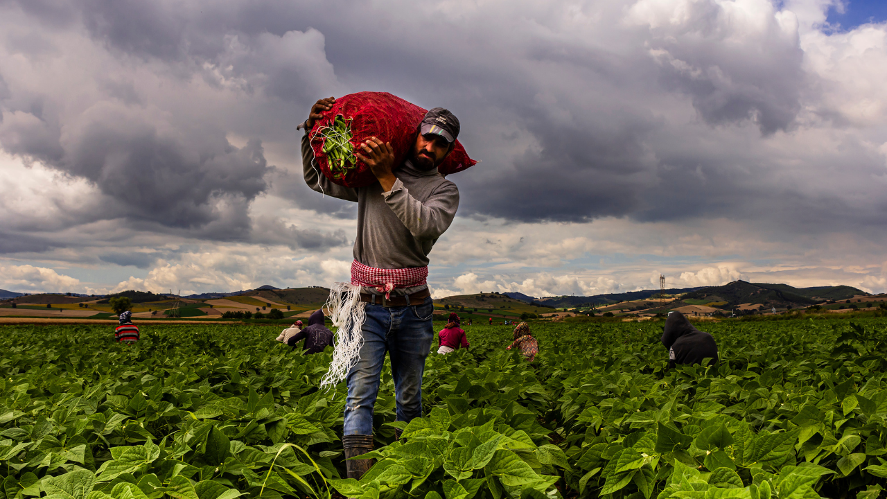Bursa Yeni̇şehi̇r Tariminda Di̇ji̇tal Devri̇m Başkan Ercan Özel’den Çi̇ftçi̇ye 464 Bi̇n Euro'luk Müjde!4