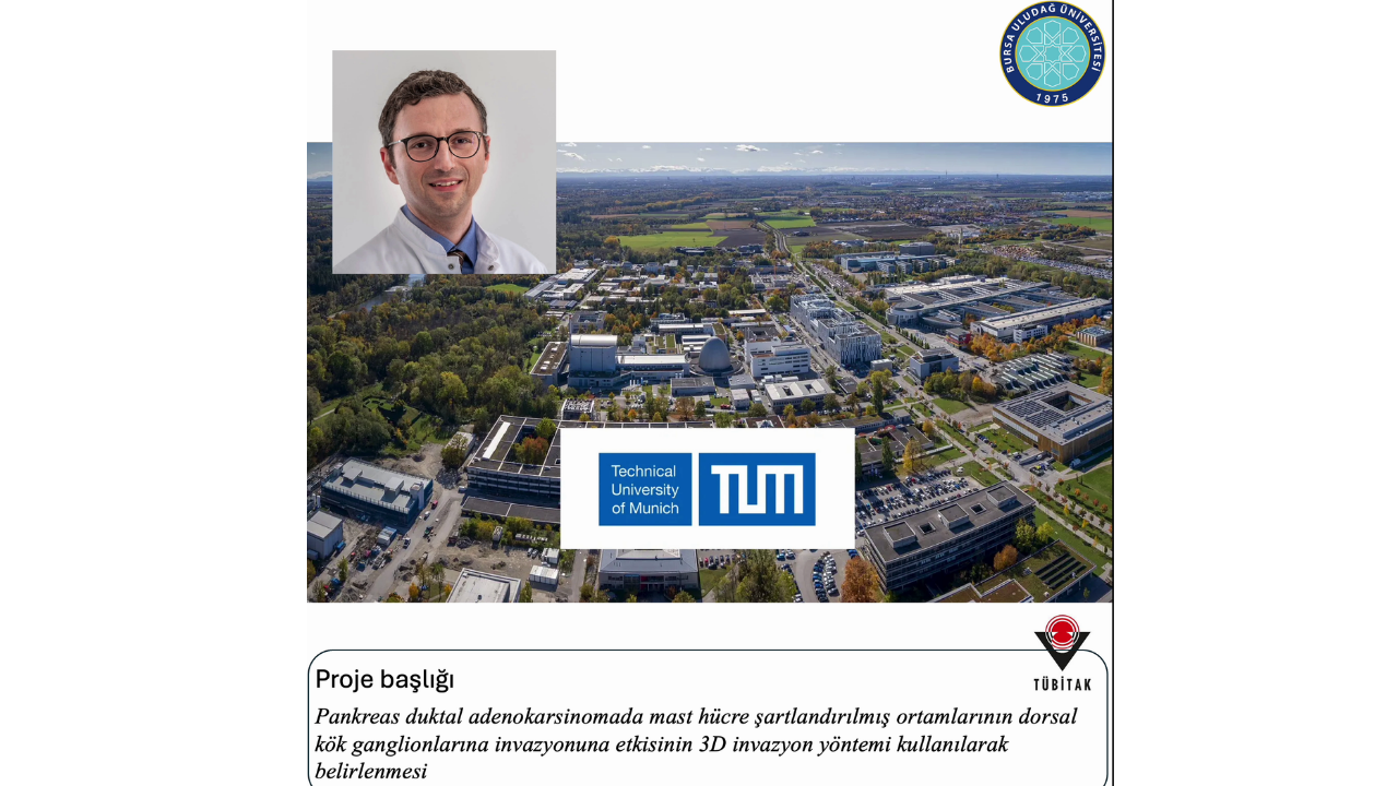 Dr. Senem Esin Yavaş, Pankreas Kanserine Karşı Önemli Bir Proje Geliştirdi!3