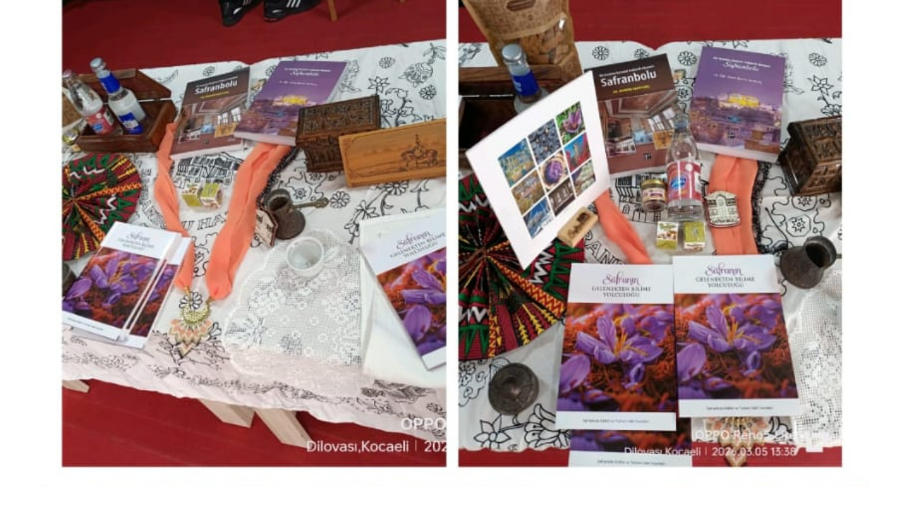 Dr. Öğr. Üyesi Berrin Sarıtunç, Tübi̇tak Bilim Söyleşileri’nde Safranbolu’nun Kültürel Mirasını Anlattı4