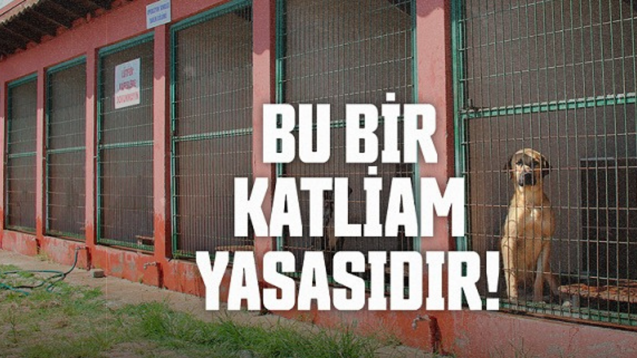 Kazım Gezer’den Sert Tepki “Doğa Koruma Neyi Koruyor?”2