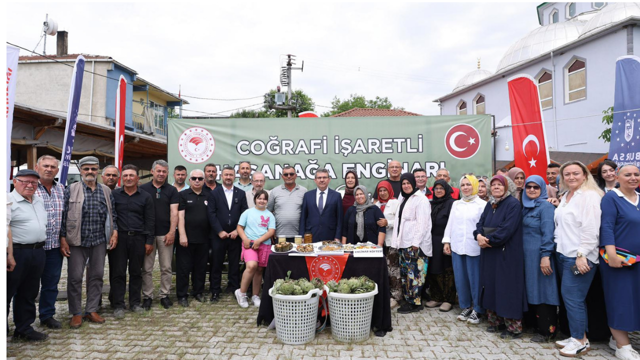 Bursa'nın tescilli lezzetinde hasat zamanı
