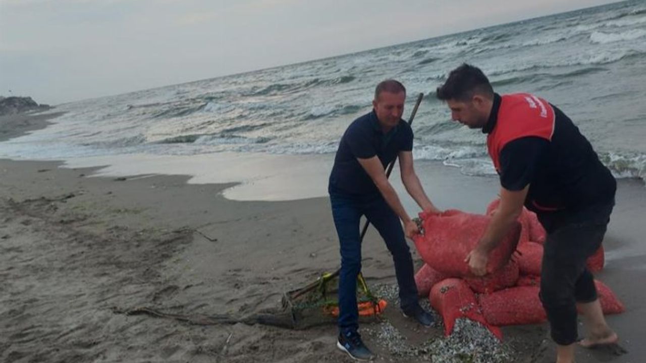 Bursa kırsal sahillerinde kum şırlanı denetimi yapıldı
