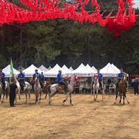 BURSA
