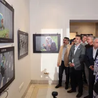 Yaşam
