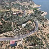 Yaşam