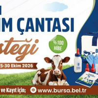 BURSA