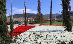 Baharın tüm renkleri Bursa’yı sardı