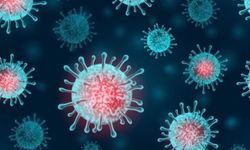 Eris varyantı Omicron'dan daha bulaşıcı çıktı