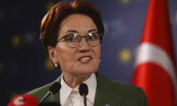 'Meral Akşener aktif siyaseti bıraktı, cumhurbaşkanı yardımcılığı iddiası tamamen yalan'