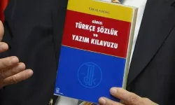 Irak’ta tarihi karar: Bir vilayette daha Türkçe resmi dil oldu