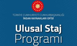 Ulusal Staj Programı,  Kimlerin Katılabileceği ve Başvuru Rehberi Hakkında  Tüm Detaylar