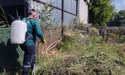 Bursa'da Sinek ve Haşerelerle Kararlı Mücadele Sürüyor