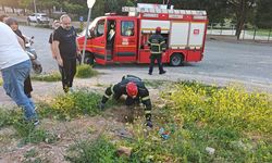 Bursa İnegöl’de Çukura Düşen Kuzu İtfaiye Ekiplerince Kurtarıldı