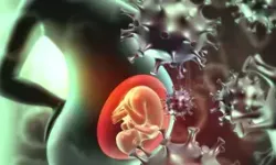 Hamilelikte Enfeksiyonlara Karşı 8 Etkili Önlem
