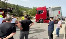 Bursa'da TIR Sürücüsünü Arı Soktu, Trafik Felç Oldu