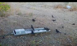 Sıcak Havalarda Yaban Hayatının Umudu: Bursa’daki Suluklar