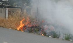 Burhaniye'de Ot Yangını Kısa Sürede Söndürüldü