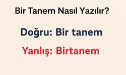Bir Tanem: TDK Doru Yazım Şekli ve Sık Yapılan Hatalar
