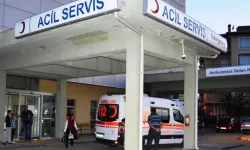 Bitlis'te Polis Aracı Kaza Yaptı: 2 Polis Memuru Yaralandı