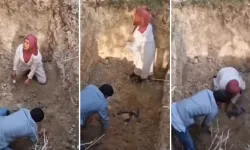 Bursa’da Şaşkınlık Yaratan Olay: Köpek Mezarlığını Kazıp Ağıt Yaktılar