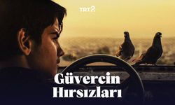 Güvercin Hırsızları Filminin Konusu, Çekildiği yer ve Merak Ettikleriniz