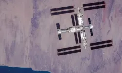 Tiangong Uzay İstasyonu'nda Yeni Bir Bakteri Keşfedildi: Niallia tiangongensis