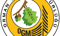 OGM 3.477 Personel Alımı Sonuçları Ne Zaman Açıklanacak? İşte Son Durum