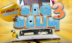 Sağ Salim 3: Ölü Ya Da Diri Filminin Konusu,  Oyuncu Kadrosu ve Hikayesi