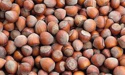 Serbest Piyasada Fındık Fiyatları Rekor Kırıyor!