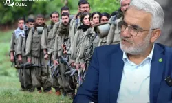 Zekeriya Yapıcıoğlu: “PKK'nın Fesih Kararı Hayal Kırıklığına Dönüşürse Devlet Tepki Verebilir”
