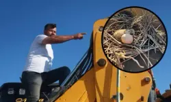 Hatay'da Kumru Yuvası İçin 23 Gün Kepçesini Çalıştırmadı, 200 Bin Lira Kaybetti