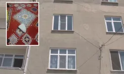 İstanbul Arnavutköy’de Bina Sahibi Kiracıların Kâbusu Oldu: Ayakkabı ve Kargo Hırsızlığı, Taşlı Saldırılar