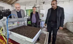 Emekli Oldu, Çiftçiliğe Başladı: Karamanlı Girişimciden 12 Ay Üretim Hamlesi