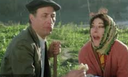 İnatçı Filmi: Konusu, Oyuncuları ve Çekildiği Yer