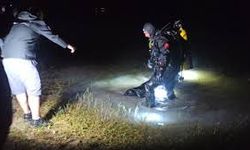Namibya’da Ünlü İş İnsanı Safari Kampında Aslan Saldırısında Hayatını Kaybetti