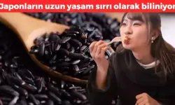 Japonların Uzun Yaşam Sırrı Siyah Pirinç! Antioksidan Deposu, Demir ve Çinko Kaynağı