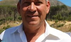 Safari Kabusu: Alman İş İnsanı Bernd Kebbel, Aslan Saldırısında Hayatını Kaybetti!