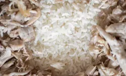 Yaz Aylarında Gıda Tüketimine Dikkat: Bu Ürünler Hayati Tehlike Taşıyabilir