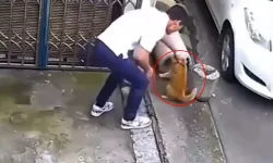 Sevmek Bahanesiyle Kedinin Yanına Yaklaştı, Sonrasında Olanlara İnanamayacaksınız