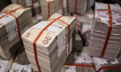 Bankalarda Unutulan Paralar TMSF'ye Aktarıldı: Yaklaşık 732 Milyon Lira Değerinde Fon Devri Gerçekleşti