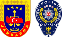 Bursa'daki Orman Yangını Soruşturmasında Bir Kişi Gözaltına Alındı