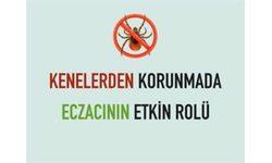 Etkin Eczacılık Derneği’nden Kene Rehberi