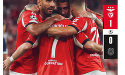 Fenerbahçe Şampiyonlar Ligi'ne Veda Etti: Benfica Karşısında Mağlup Oldu