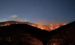 Kahramanmaraş'ta Orman Yangını: Ekipler Seferber Oldu