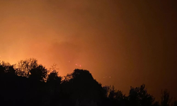 Alanya'da Orman Yangını! Alevler Yerleşim Yerlerine Yaklaşıyor