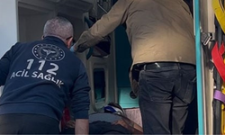 Bursa Uludağ'da Kestane Kavgası Kanlı Bitti: Aynı Aileden 3 Kişi Silahla Vuruldu!