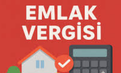 EMLAK VERGİSİ ÖDEME REHBERİ 2025: SON GÜN NE ZAMAN, E-DEVLET'TEN NASIL YAPILIR?
