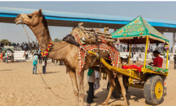 İLAHİ MUCİZE: HZ. İBRAHİM'İN ATEŞE ATILMA KISSASI VE KAVMİNİN İSYANI