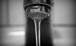 Kuduzlar Neden Sudan Korkar?